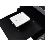 Baby Platen