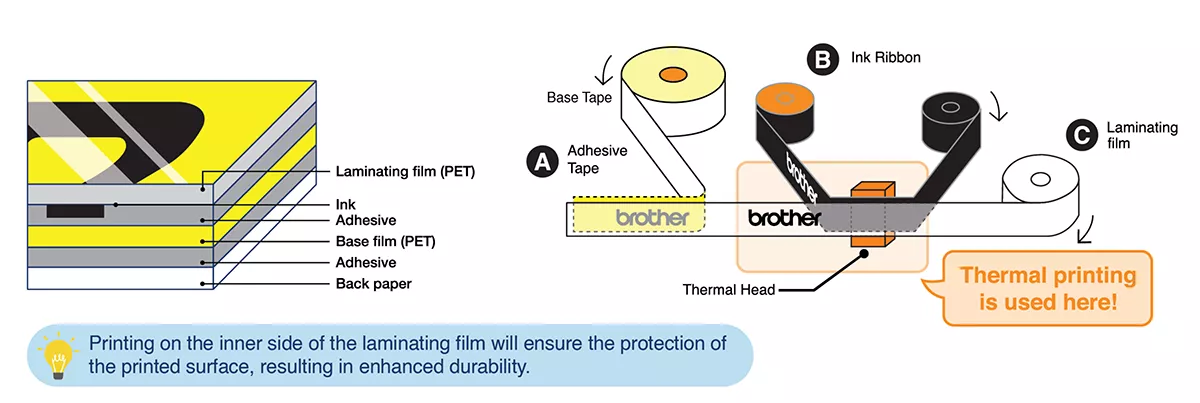 Auto-Lamination Diagram
