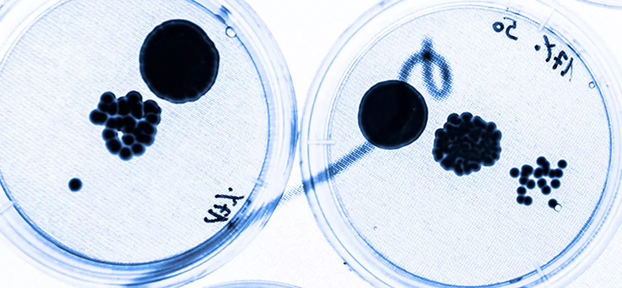 Printing Solution for Healthcare