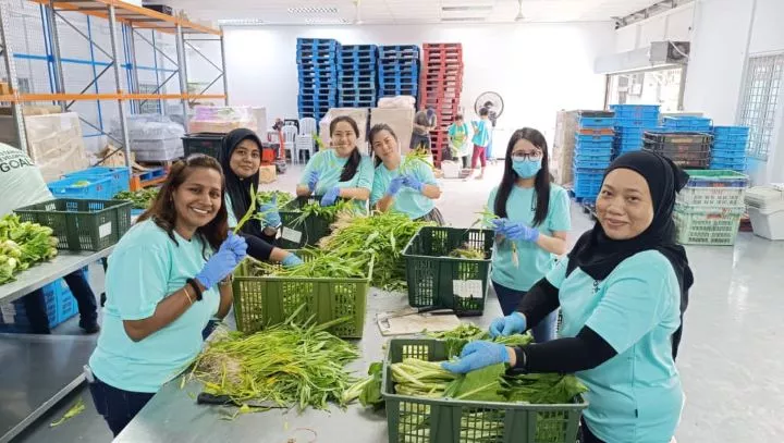 Food Rescue & Compost Workshop 2025 2