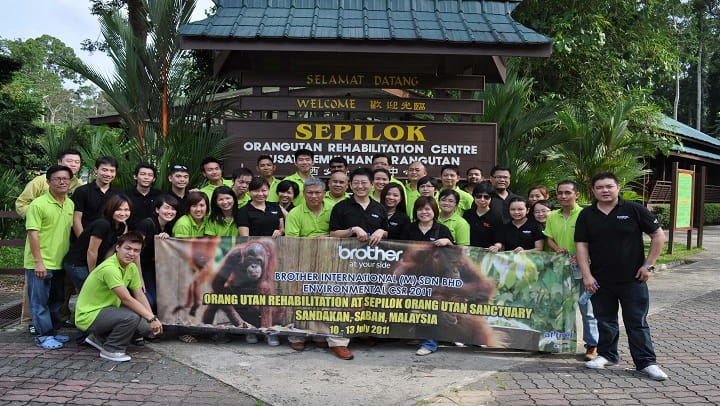 OrangUtan2011
