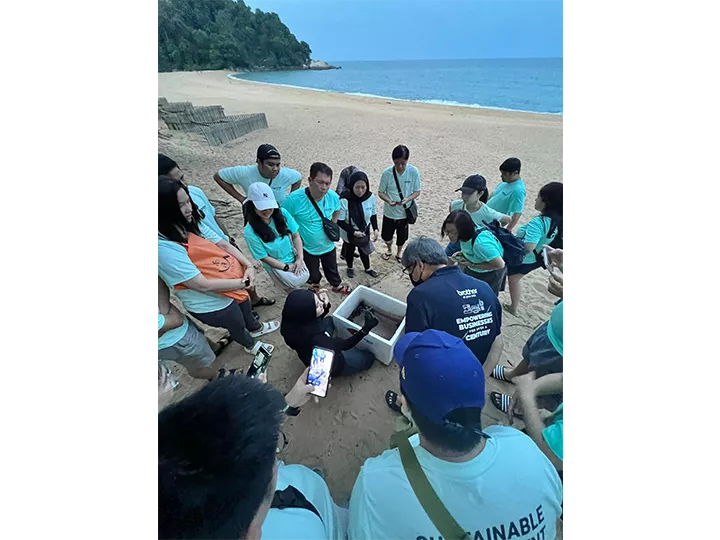 Save the Turtle & Beach Cleaning 2024 3